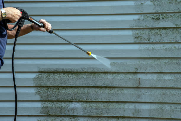 Best Deck and Patio Pressure Washing in Rock Valley, IA