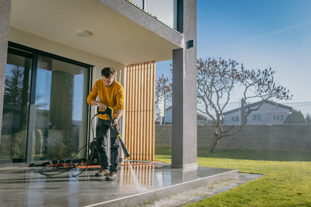 Best Graffiti Removal Services in Rock Valley, IA